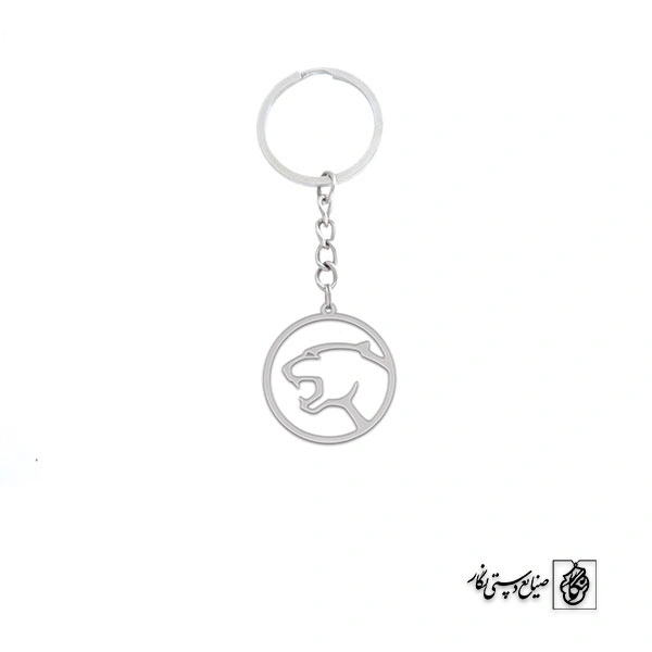 جاسوئیچی پلنگ کد 281