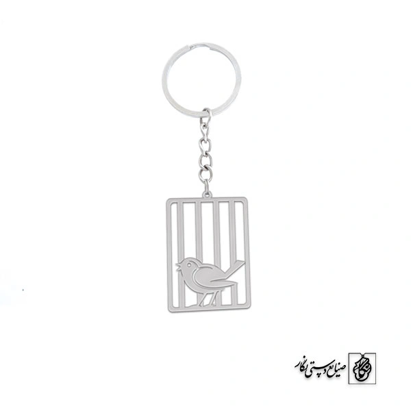 جاسوئیچی پرنده کد 496