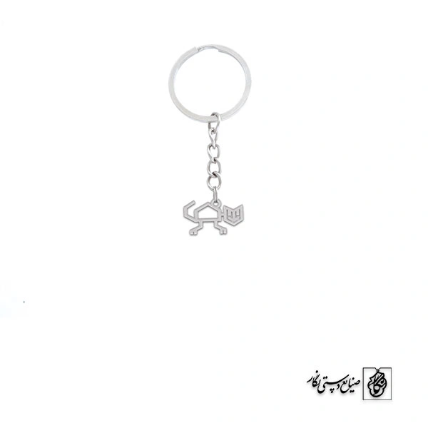 جاسوئیچی گربه کد 571