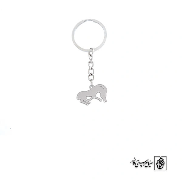 جاسوئیچی میش کد 577