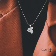 پلاک شانه کد 40270