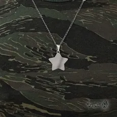 پلاک ستاره کد 40421