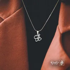 پلاک اسم دلوین کد 5087
