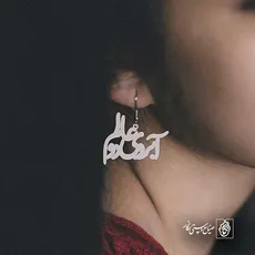 پلاک آبروی دو عالم کد 6064