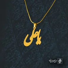 پلاک یاعلی کد 6095