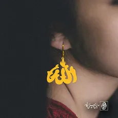 پلاک الله کد 6111