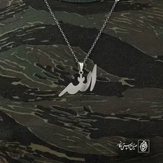 پلاک الله کد 6119