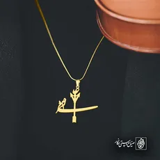 پلاک علی اصغر کد 6289