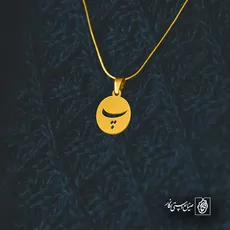 پلاک حرف پ کد 6545