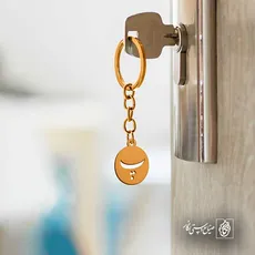 پلاک حرف پ کد 6545