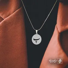 پلاک حرف پ کد 6548