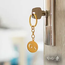 پلاک حرف GS کد 6581