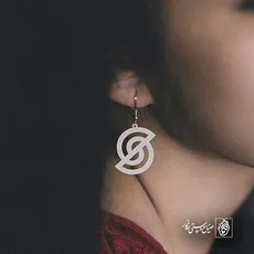 پلاک حرف S کد 6613