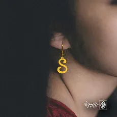 پلاک حرف S کد 6616