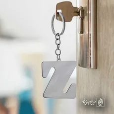 پلاک حرف Z کد 6625