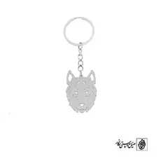 جاسوئیچی گرگ کد 234