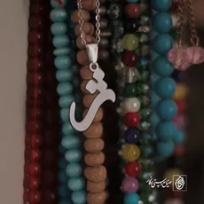 پلاک حرف ژ کد 3809