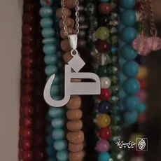 پلاک حرف ض کد 3859