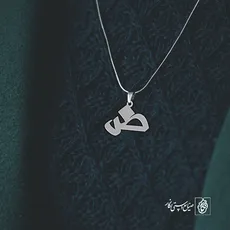 پلاک حرف ض کد 3861