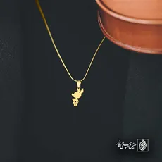 پلاک  خوک کد 41801