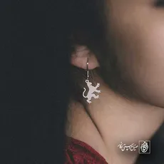 پلاک  ببر کد 41805