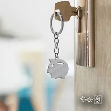 پلاک  خوک قلک کد 41815