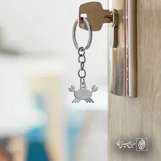 پلاک  خرچنگ کد 41840