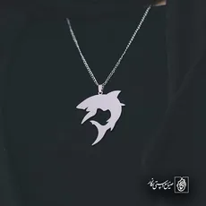 پلاک  کوسه کد 41864