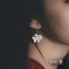 پلاک  ماهی کد 41869