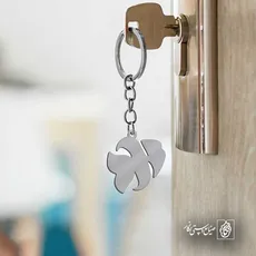 پلاک  ماهی کد 41869