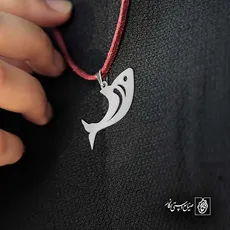 پلاک  ماهی کد 41871