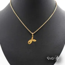 پلاک  ماهی کد 41878