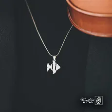 پلاک  ماهی کد 41880