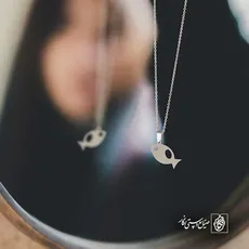 پلاک  ماهی کد 41881