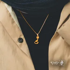 پلاک  گربه کد 42008
