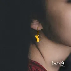 پلاک  گربه کد 42013