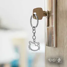 پلاک  کیتی کد 42062
