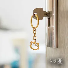 پلاک  کیتی کد 42062