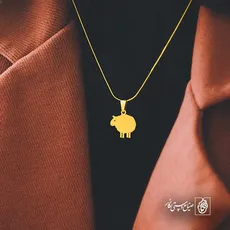 پلاک  ببعی کد 42077