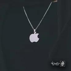 پلاک  سیب کد 42652