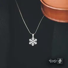 پلاک  برف کد 42810