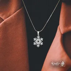 پلاک  برف کد 42815