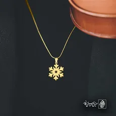 پلاک  برف کد 42815