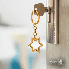 پلاک  ستاره کد 43156