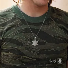 پلاک  ستاره کد 43192