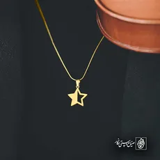 پلاک  ستاره کد 43195