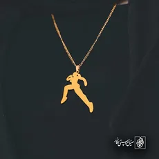 پلاک  دونده کد 43203