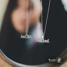 پلاک  علی دایی کد 43227