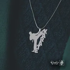پلاک  کاراته کد 43241