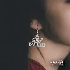 پلاک  کاراته کد 43249